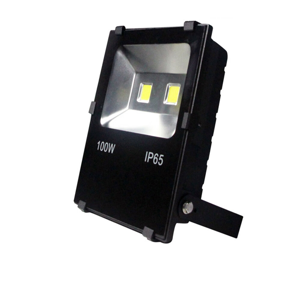 پروژکتور 100 وات تکنوتل مدل TR99100