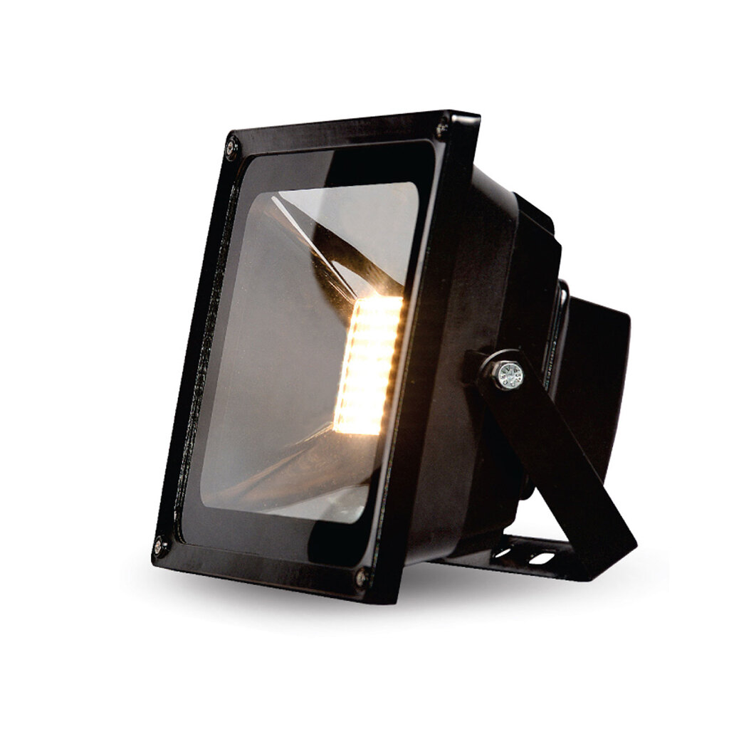 پرژکتوشر 50 وات مدل آیدیس آلتون رای