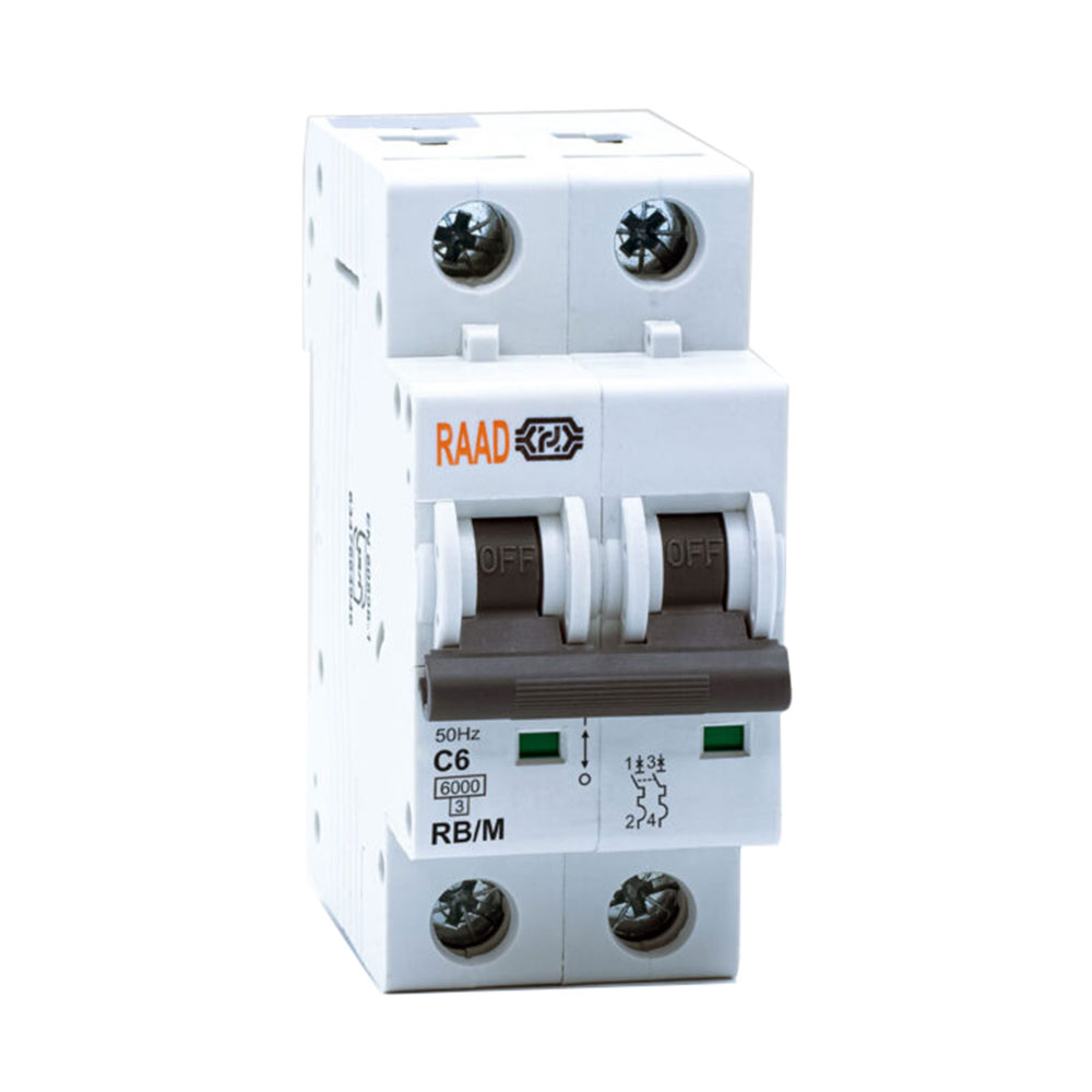 کلید مینیاتوری 2 پل 6 آمپر RB-M-2P-C06-6KA رعد