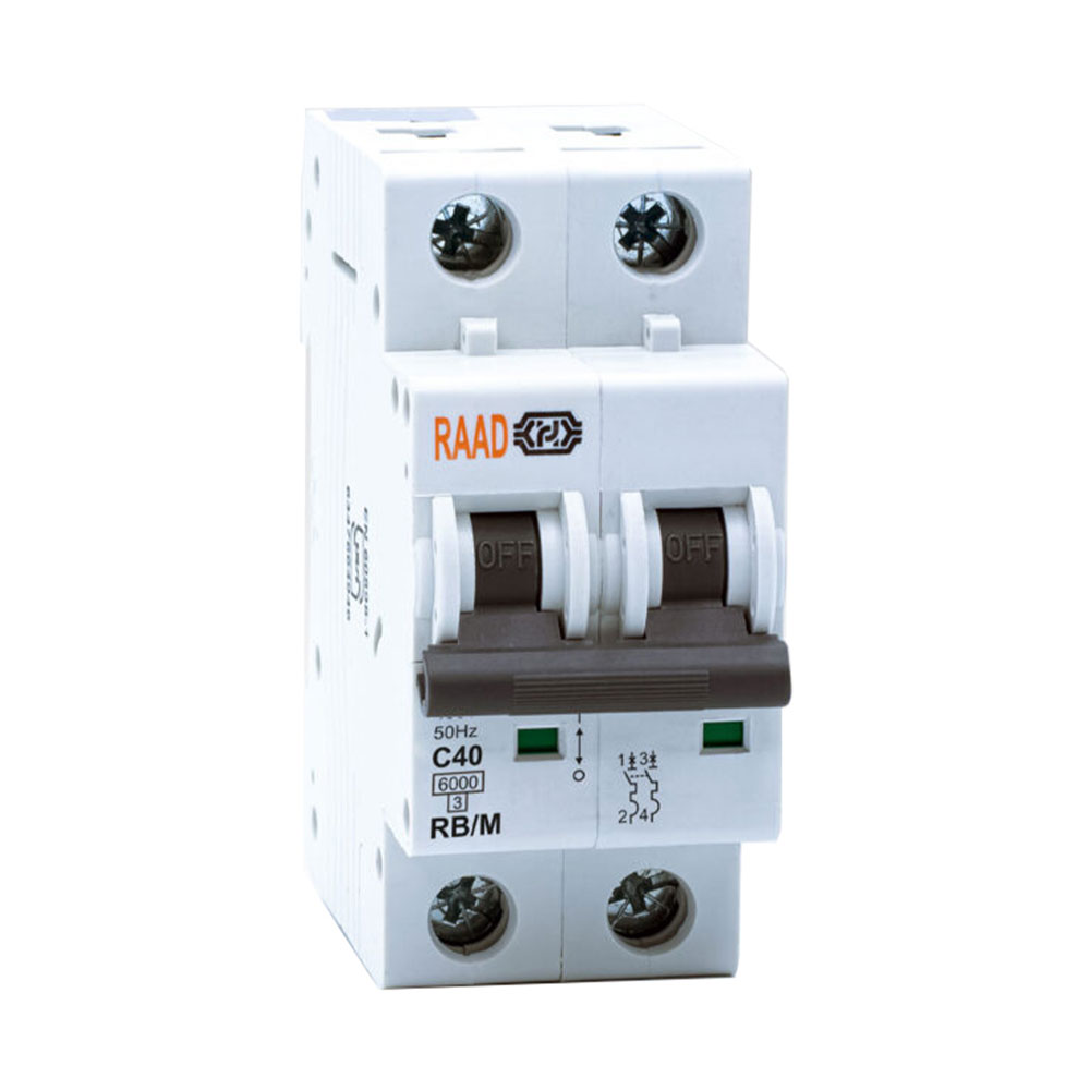 کلید مینیاتوری 2 پل 40 آمپر RB-M-2P-C40-6KA رعد