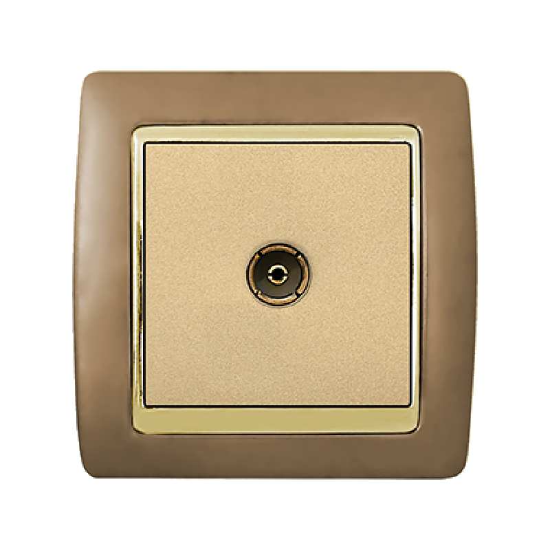 پریز آنتن آسیا الکتریک مدل سفیر