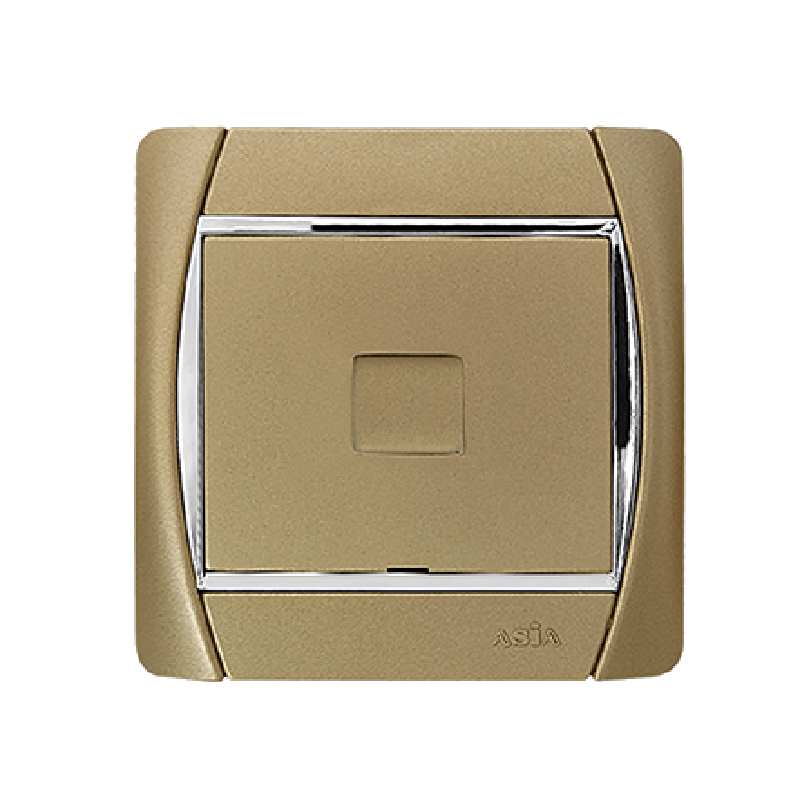 پریز شبکه آسیا الکتریک مدل سیلور