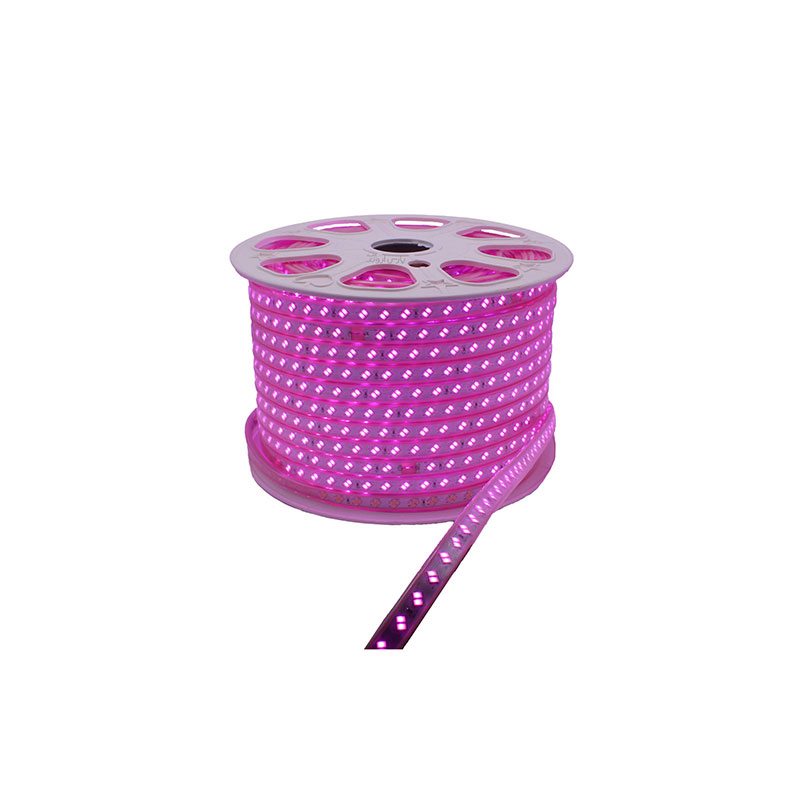 ریسه بنفش شلنگی وایرلس تراکم 120 نمانور مدل 3535