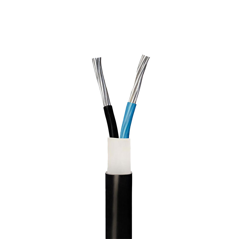 کابل آلومینیوم 2 در 25 متری پرتو الکتریک