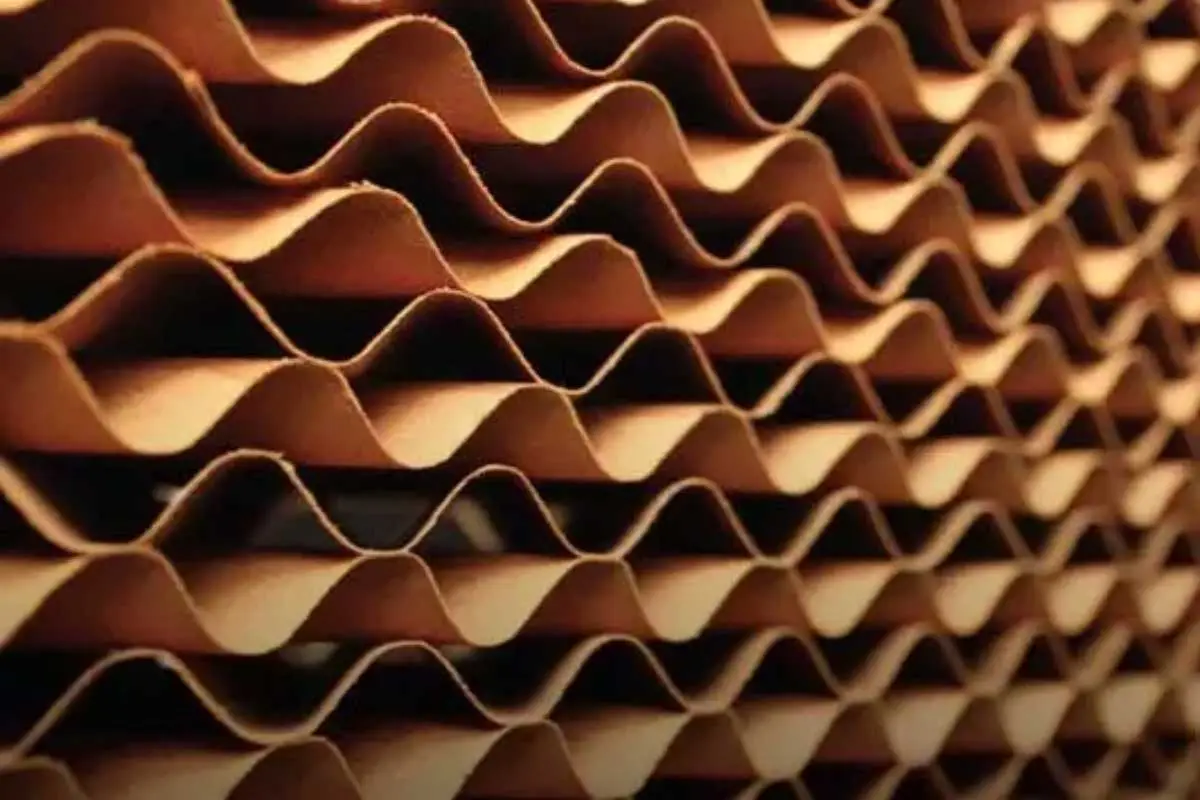 عکس پد سلولوزی