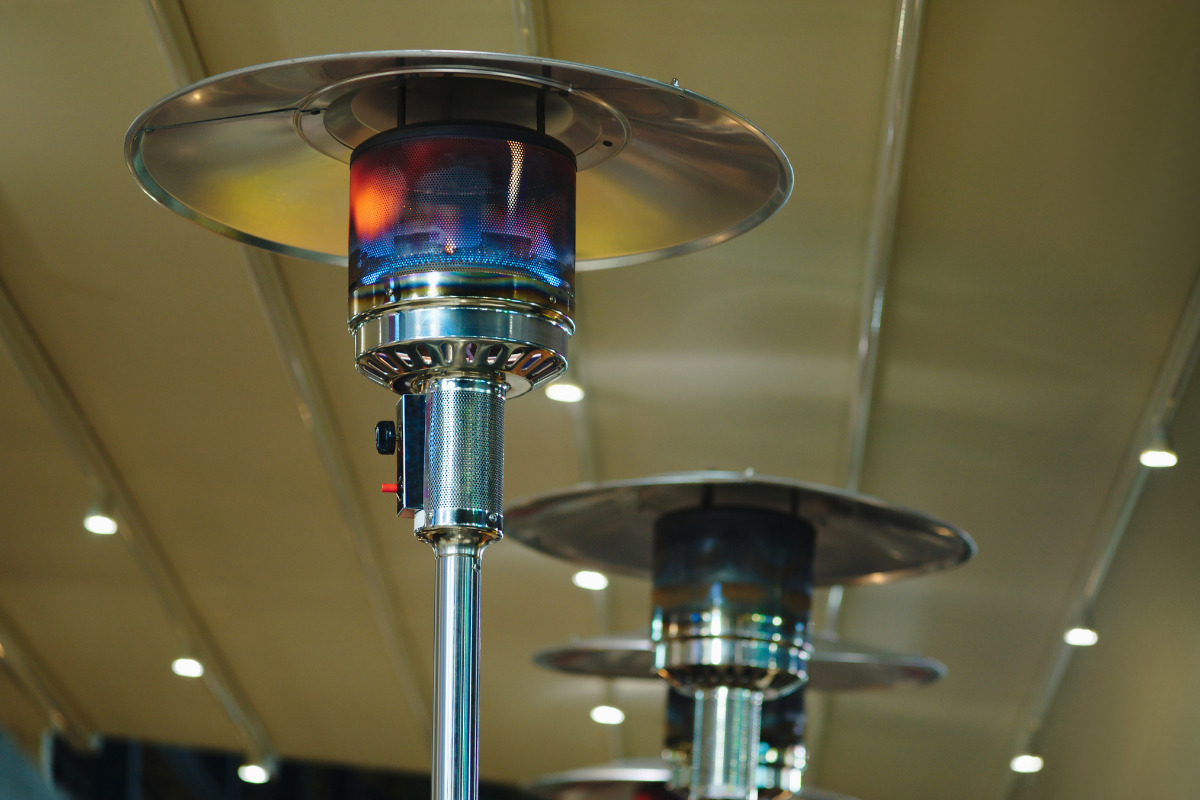 عکس هیتر قارچی