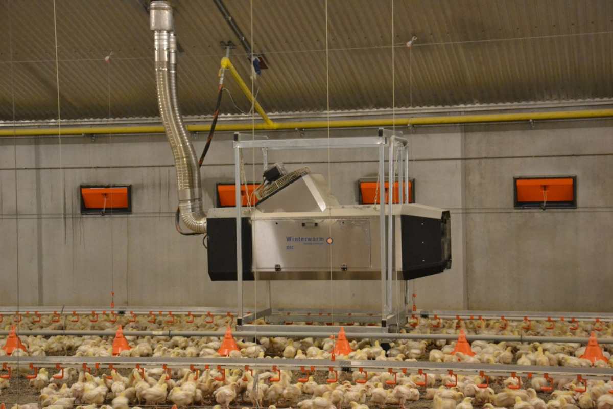 روش‌های گرمایش سوله مرغداری - گرمایش با جت هیتر