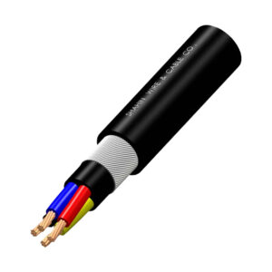 کابل زره دار 4 در 16 شاهین NYRY متری