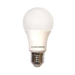 لامپ ال ای دی حبابی 10 وات بدیع نور سرپیچ E27