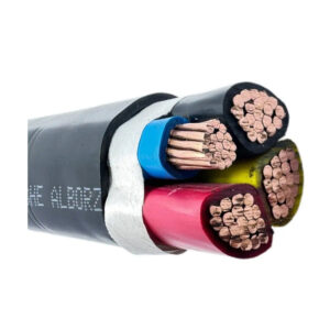 کابل زمینی متری 3 در 50+95 مغان