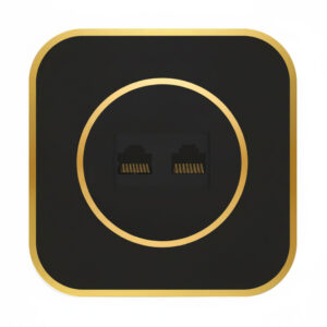 سوکت شبکه CAT6 دو پورت ویرا مدل آرک آلفا با قاب گلس