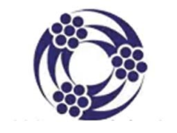 لوگوی سیم و کابل باختر ایرانیان