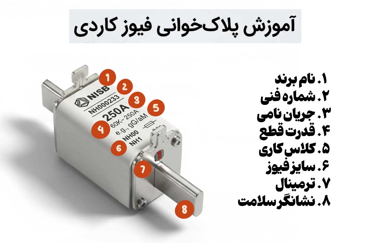 پلاک خوانی فیوز کاردی